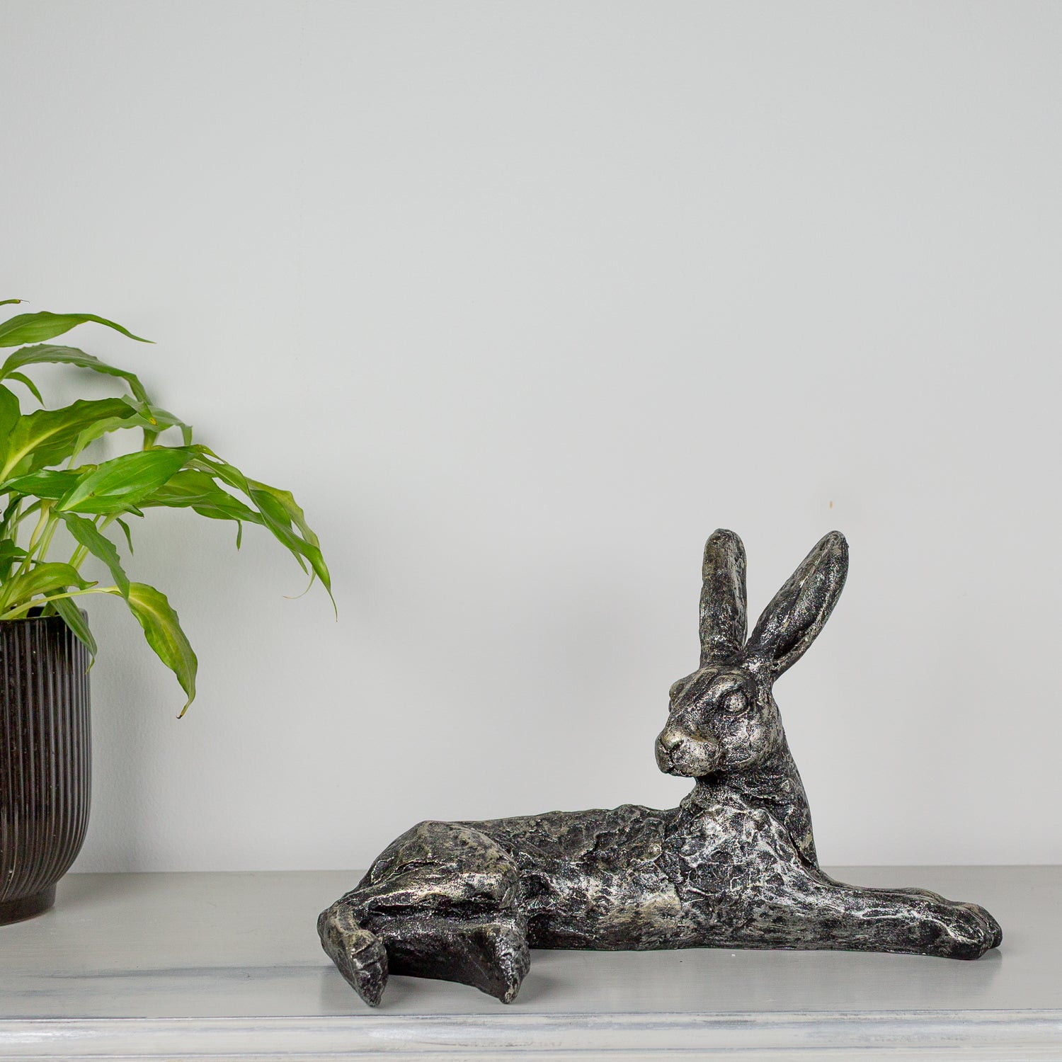 Relaxing Hare