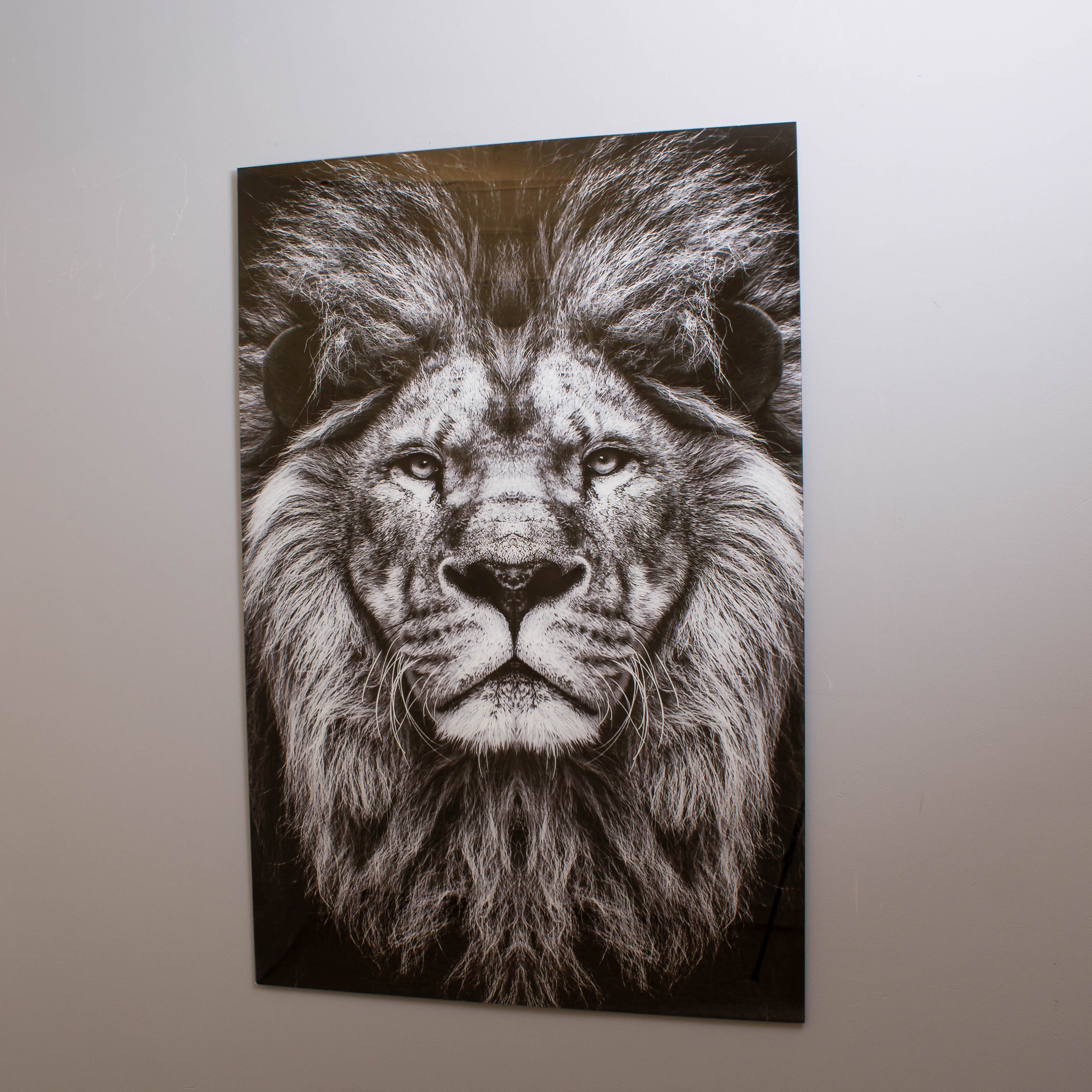 Majestic Lion Tempered Glass Wall Art