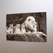 Lion Pride Tempered Glass Wall Art