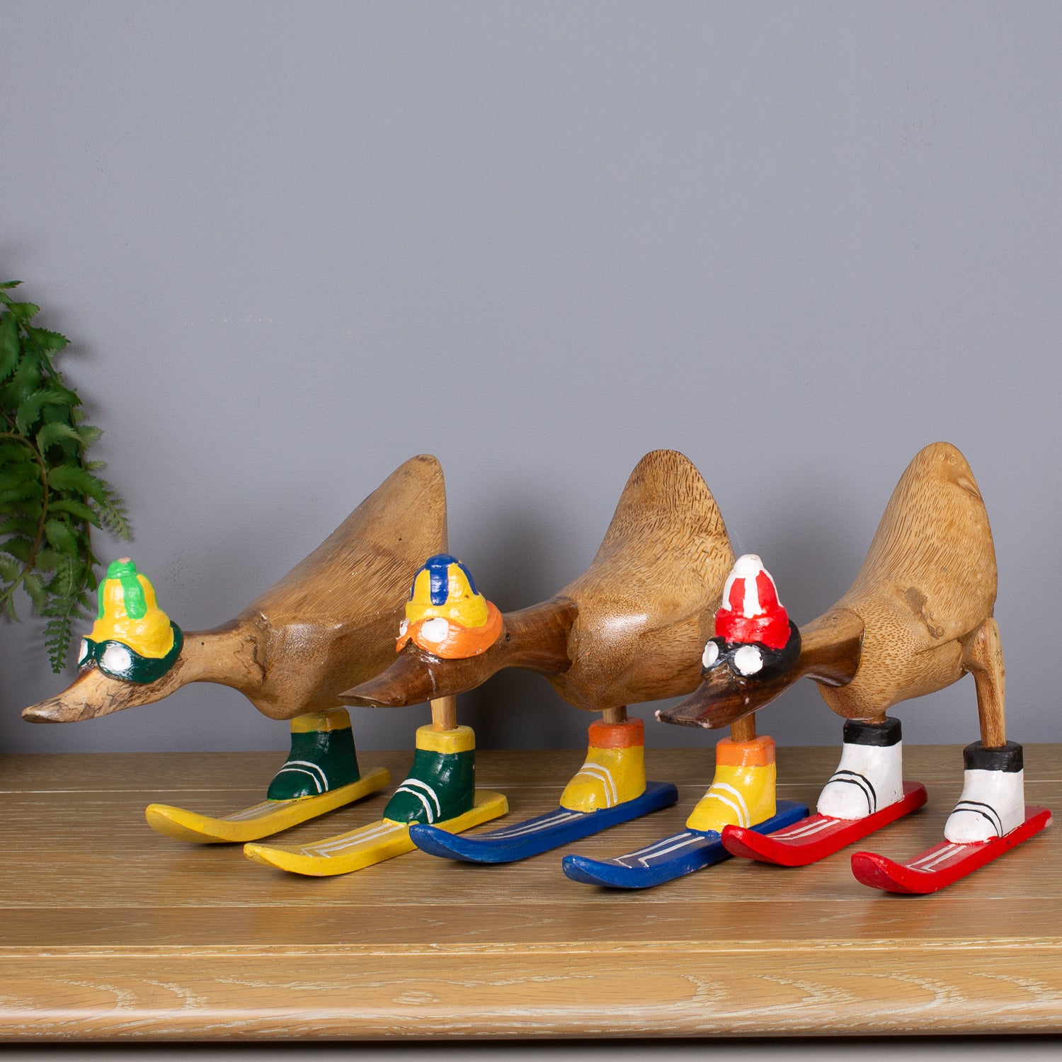 Small Skiing Duck