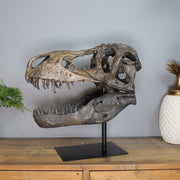 Dinosaur skull model on a stand against a gray wall with a plant and decorative item in the background.