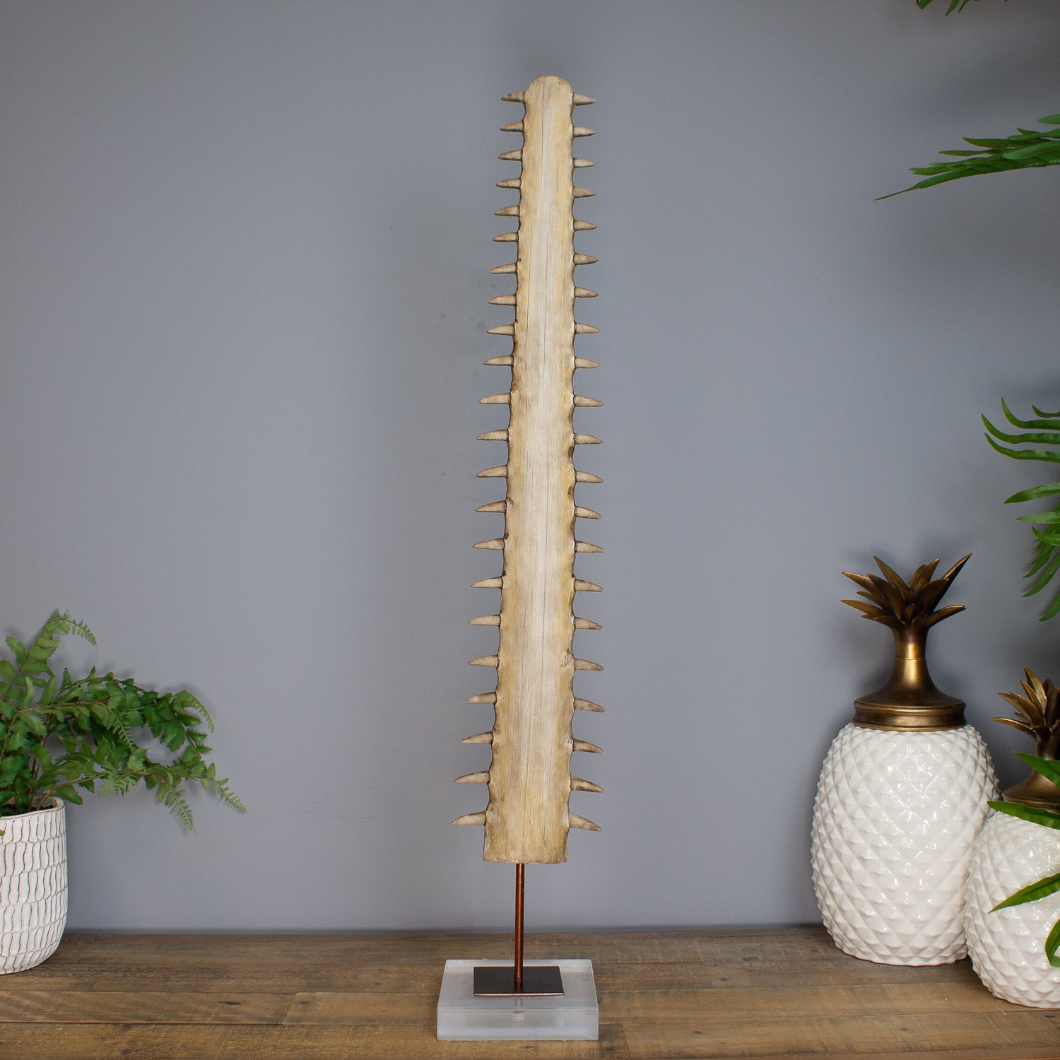 Sawfish Bill