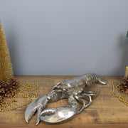 Silver Lobster 50 cm