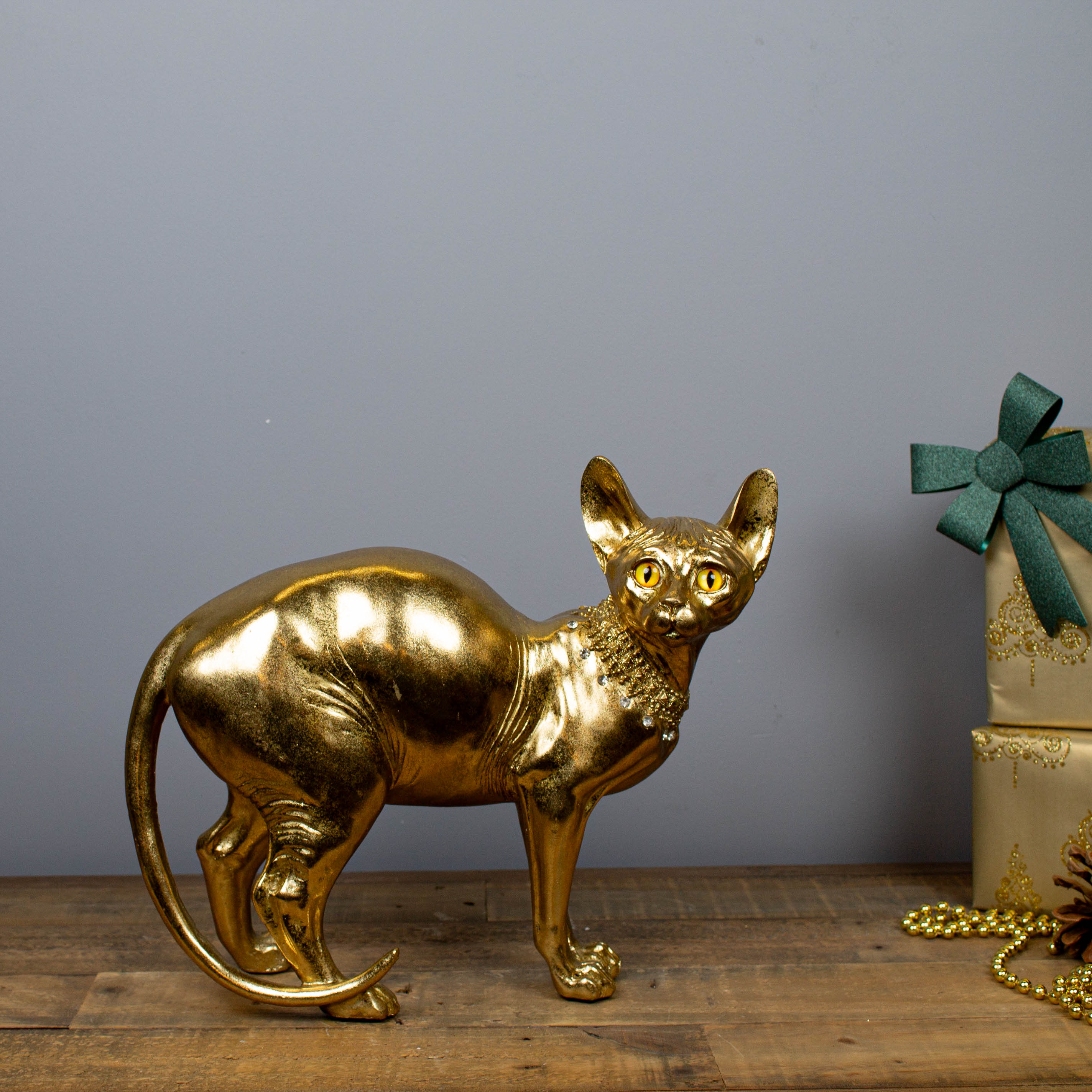 Gold Sphynx Cat