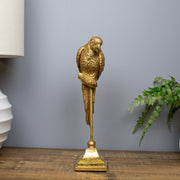Gold Parrot on Perch