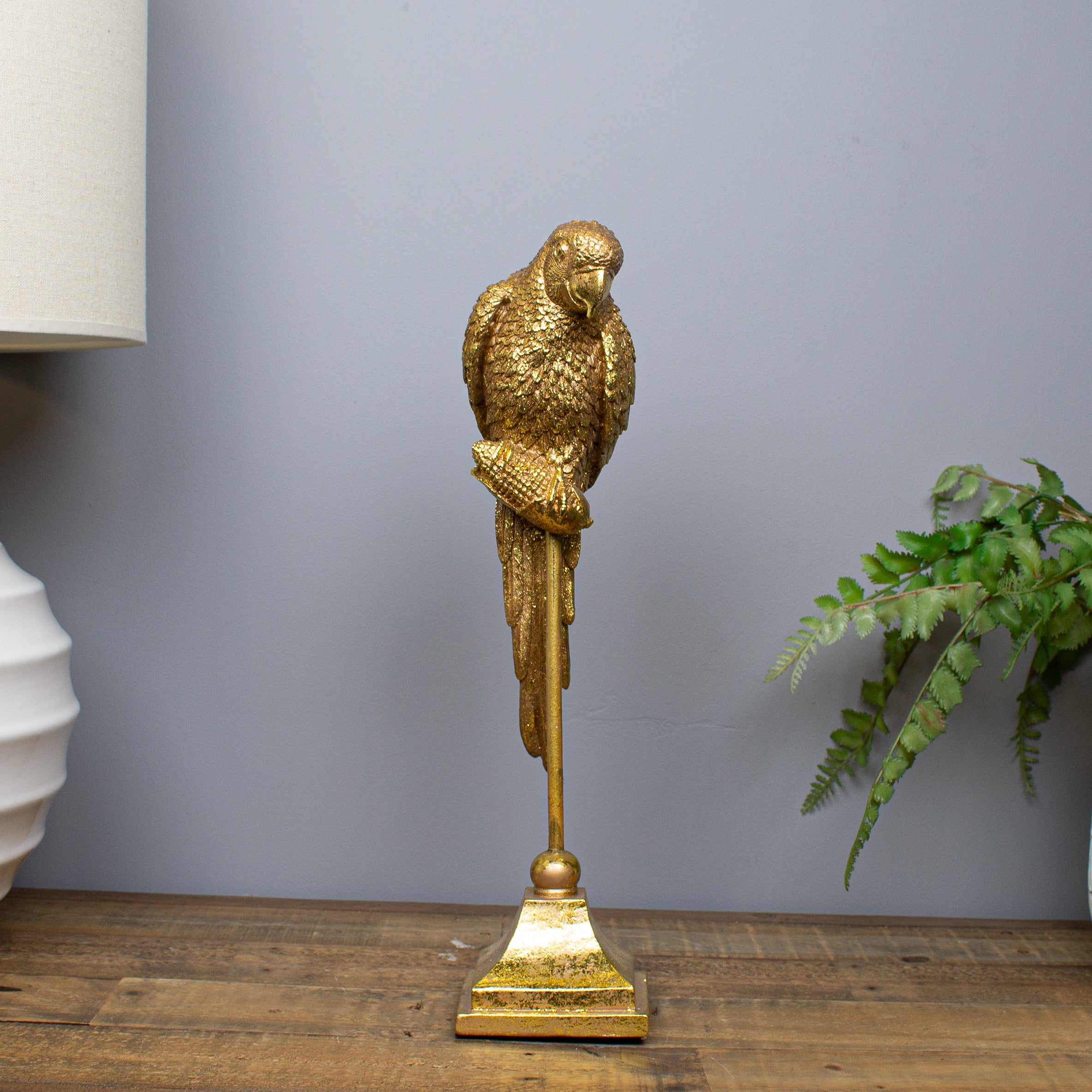 Gold Parrot on Perch
