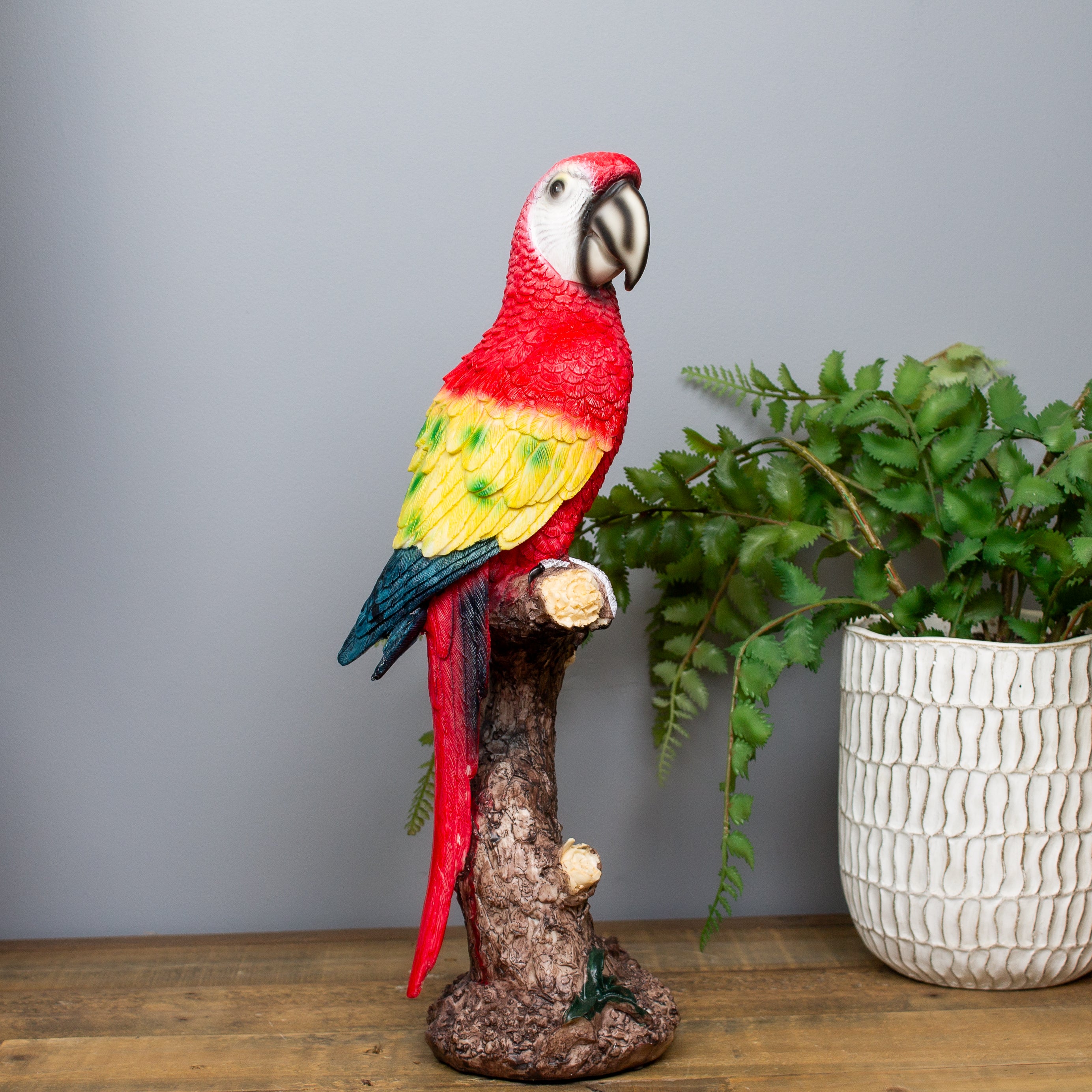 Scarlet Macaw On Perch
