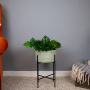 Charcoal Dimpled Planter on Stand 19 cm